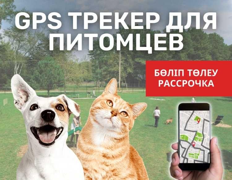 GPS ЖПС трекер для питомцев/ собаки,кошки,домашние животные/мониторинг - фото 1 - id-p102683661