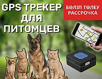 Ит,мысык үй жануарларына GPS ЖПС трекер / мониторинг/ Teltonika TMT250