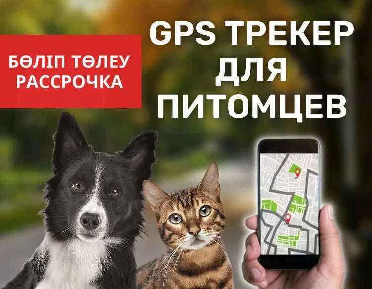 Мониторинг за домашними животными / GPS трекер, кошки собаки,питомцы - фото 1 - id-p102683843