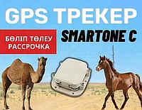 Малдарға арналған GPS трекер SmartOne C /бие,жылқы,сиыр,түйе/Қызылорда