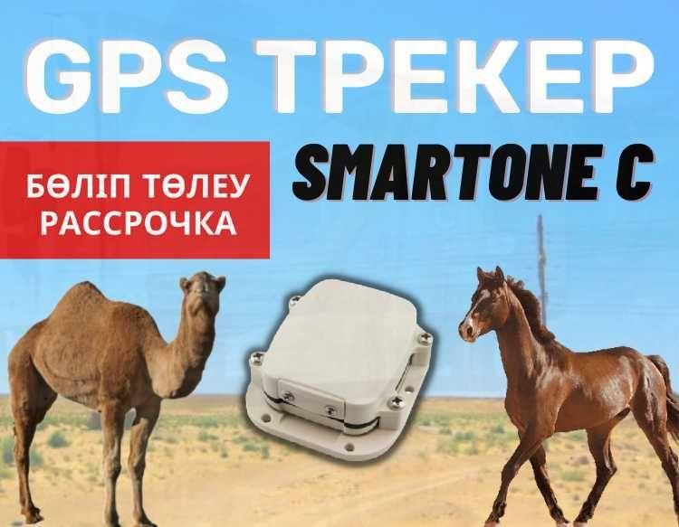 Жылкы,сиыр,туйе,мал жануарлар бакылау /GPS ЖПС трекер/ СПУТНИКОВЫЙ - фото 1 - id-p102684401