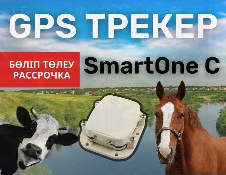 GPS ЖПС трекер жануарларга(для животных) жылкы,туйе,сиыр,бұқа,айгыр - фото 1 - id-p102684402