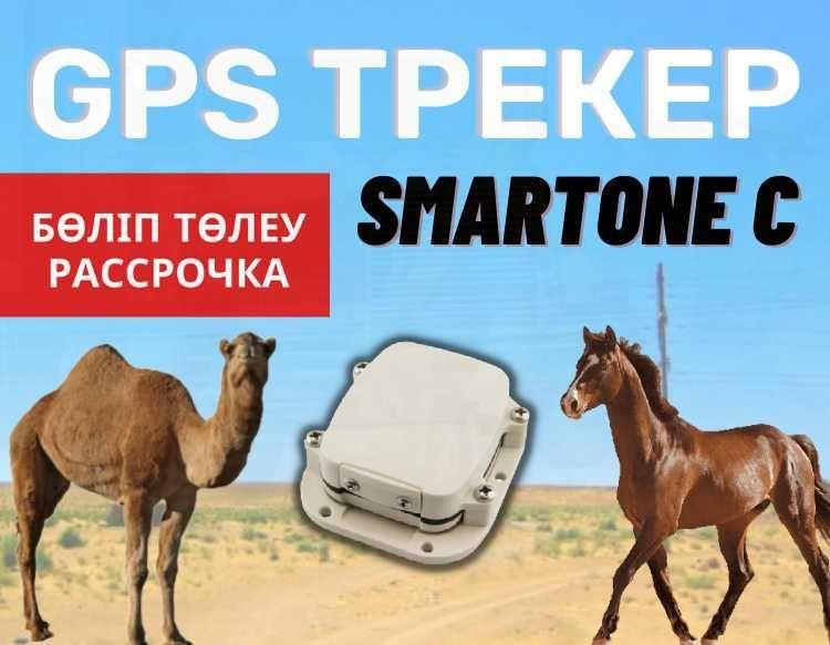 Малдарға арналған GPS трекер SmartOne C /бие,жылқы,сиыр,түйе/Қызылорда - фото 1 - id-p102684403