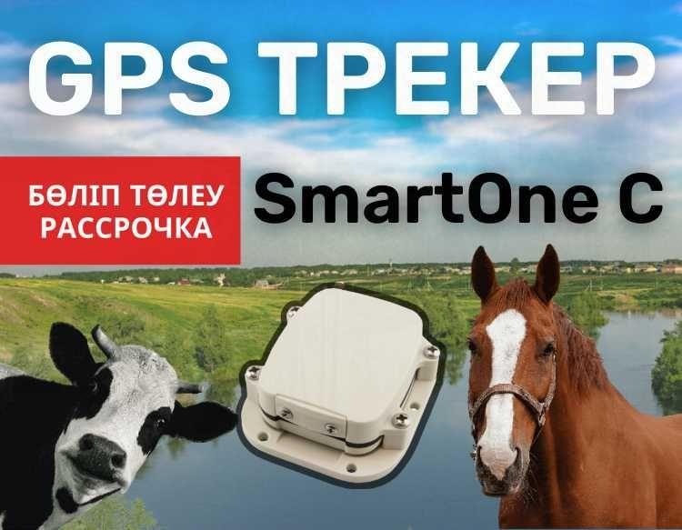 GPS трекер для коров,лошадей,быков,КРС животных(жануарларга) /ЖПС,ДЖПС - фото 1 - id-p102695014