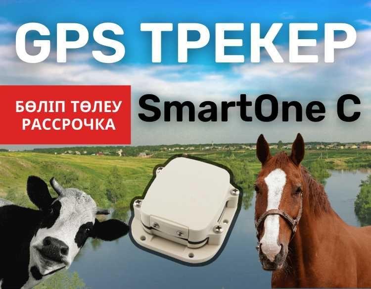 GPS трекер для животных(жануарлар) лошадь,коровы,быки,верблюд ЖПС/ДЖПС - фото 1 - id-p102695015