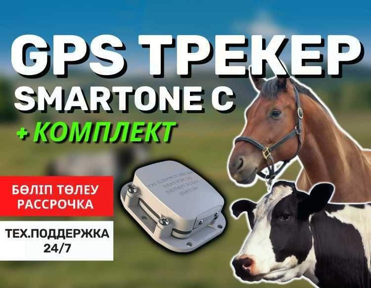 ЖПС GPS трекер жануарларға (для животных) / жылкы сиыр/лошадей,коров - фото 1 - id-p102695020