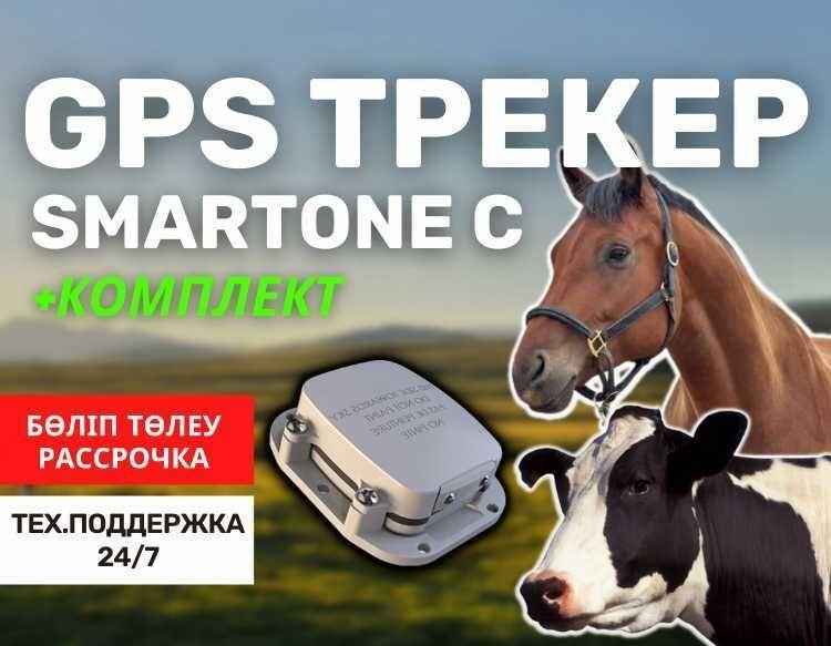 GPS трекер жануарларға(для животных) / жылкы,сиыр,туйе/лошадей,коров - фото 1 - id-p102695024