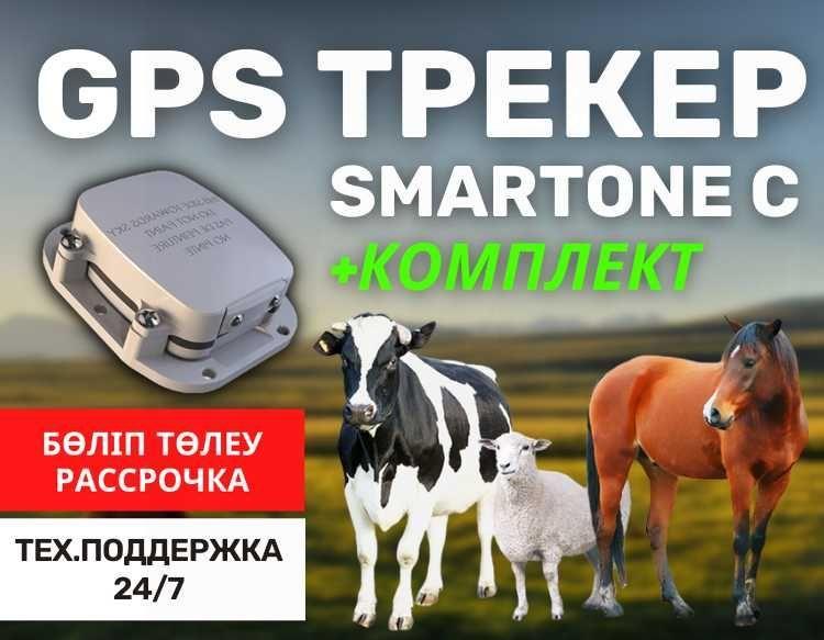 GPS трекер для животных(жануарларға) / лошадей,коров,быков /жылкы,сиыр - фото 1 - id-p102695041