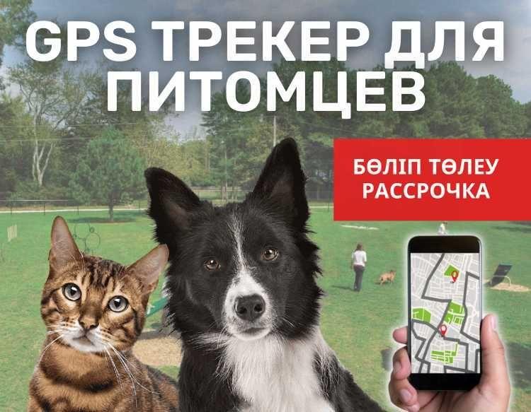 Кошки,собаки,питомцы/ GPS трекер для домашних животных/ ЖПС TMT250 - фото 1 - id-p102695873