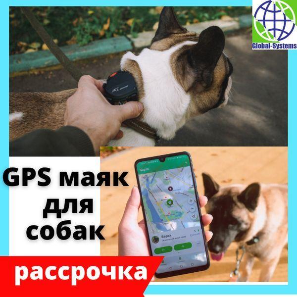 Gps трекер для собак, кошек, домашних питомцев, жпс маяк, кот, навигат - фото 1 - id-p102695887