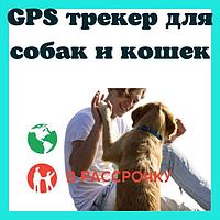 Gps Трекер Для Питомцев / Доставка / Рассрочка / Приложение