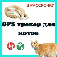 GPS ошейник для домашних питомцев, собак и кошек