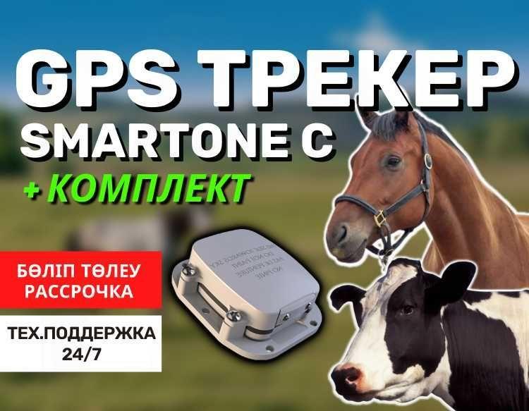 GPS ЖПС мониторинг/ Қарағанды, жылқы жануарлар,сиыр /для лошадей,коров - фото 1 - id-p102695954