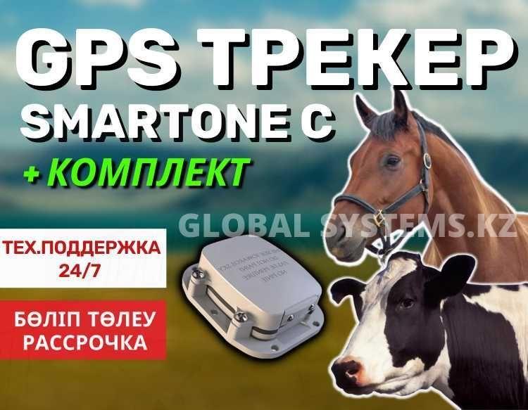 GPS ЖПС трекер спутниковый / жылқы айғыр түйе сиыр бие / лошадей,коров - фото 1 - id-p102695988