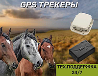 GPS трекеры для скота. Актобе