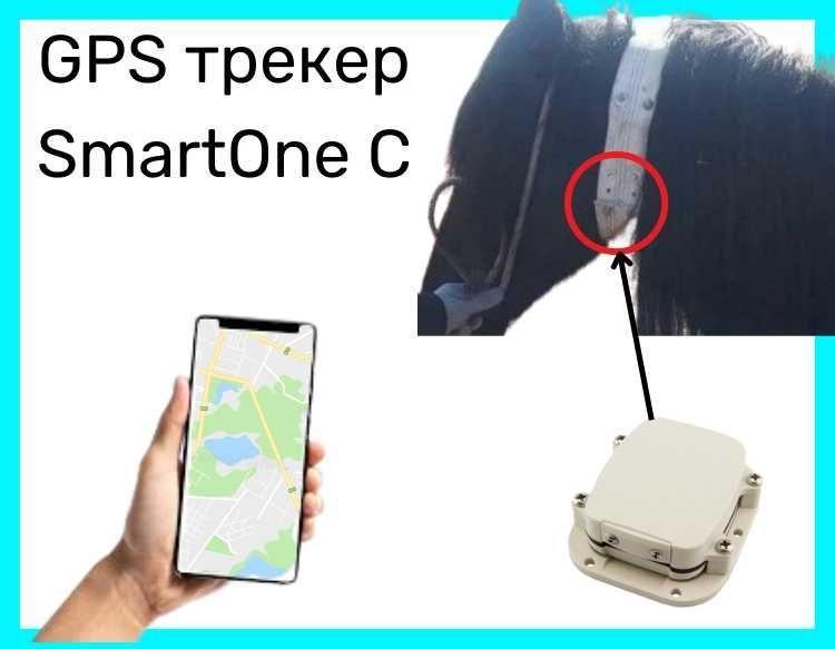 GPS трекеры для скота в Павлодаре - фото 1 - id-p102696005