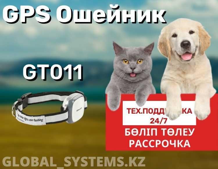 Атырау GPS ошейник для питомев/ кошки/ собаки - фото 1 - id-p102696015