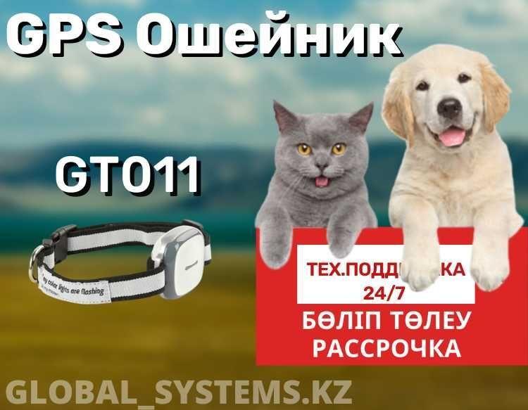 GPS ошейник для питомцев, модель: GT011. Уральск - фото 1 - id-p102696023