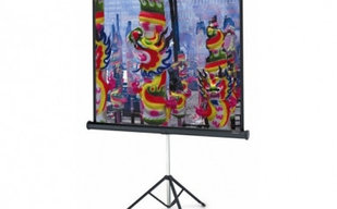 Экран на штативе 200x200 см Professional A Type D Medium