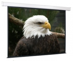 Экран настенный с электроприводом 300х300 см Exclusive Medium