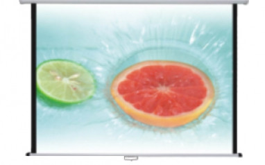 Экран настенный рулонный 200x200 см Roll-down, фото 1