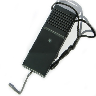 Говорящий бытовой безмен Сонар-Б1, фото 1