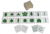 Шкафчик с карточками к ботаническому комоду