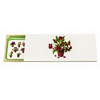 Карточки Цветы