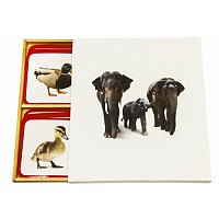 Карточки Семья животных, фото 1