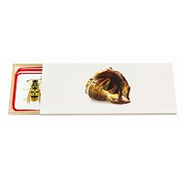 Карточки Кто где живет