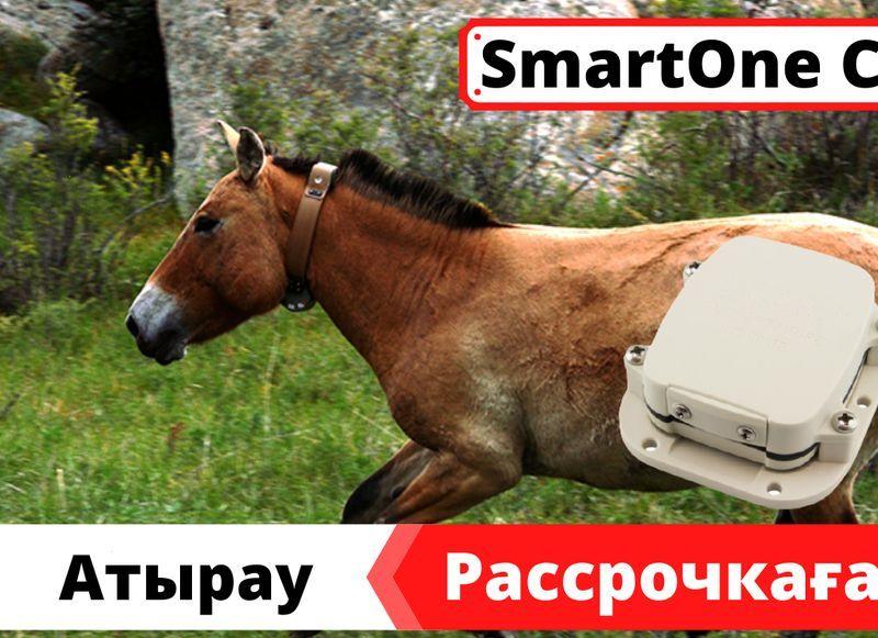 GPS ЖПС трекер для лошадей, коров, крупного рогатого скота SmartOne C - фото 1 - id-p102745430