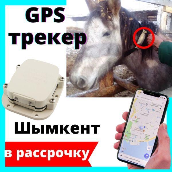 Gps трекер маяк навигатор для животных лошадей коров собак кошек КРС - фото 1 - id-p102745438