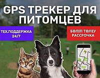 Gps Трекер Для Питомцев / Рассрочка / Приложение / мониторинг