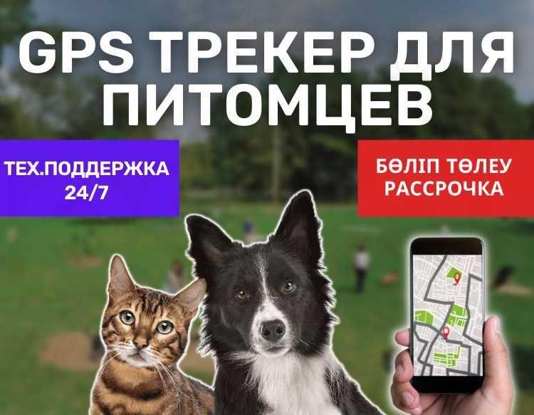 Gps Трекер Для Питомцев / Рассрочка / Приложение / мониторинг - фото 1 - id-p102745458