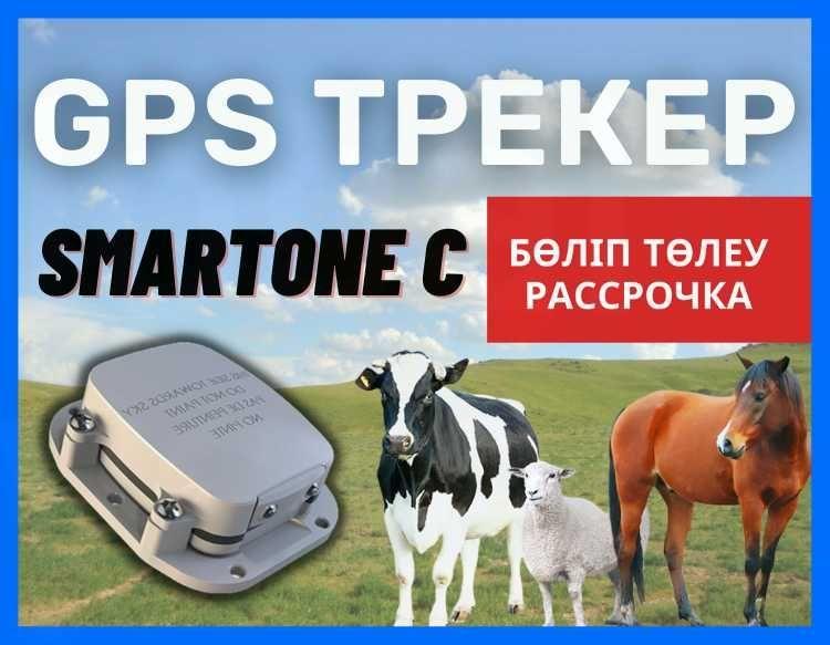 GPS ЖПС трекер для животных SmartOne C/ СПУТНИКОВЫЙ /лошадей,коровы - фото 1 - id-p102745479