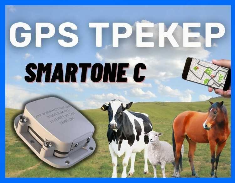 GPS ЖПС трекер для животных, с мобильным приложением / лошадей, коров - фото 1 - id-p102745484