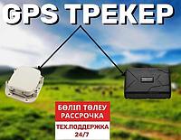 Семей қаласындағы жылқыларға арналған GPS трекер/ TK-star/ SmarTone C