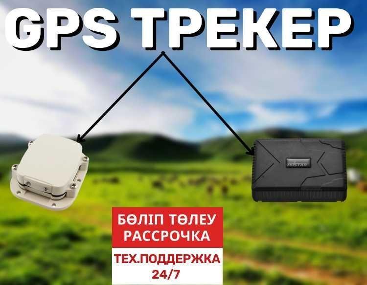 GPS трекер для лошадей. Алматы/ TK-star/ SmartOne C - фото 1 - id-p102745498