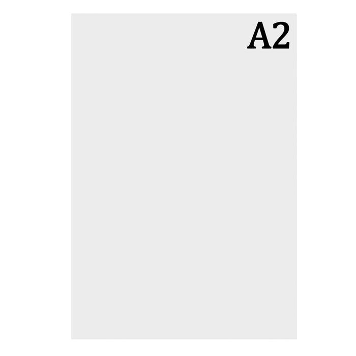 Ватман чертёжный А2, 160 г/м2 (комплект из 100 шт.)