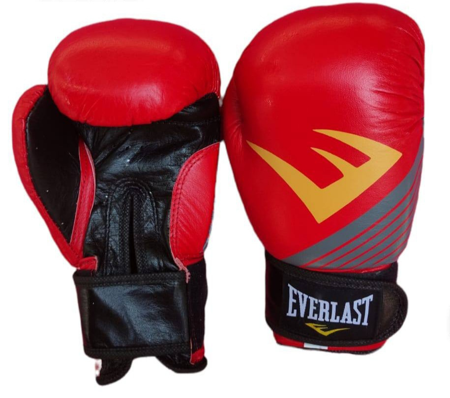 Боксерские перчатки Everlast кожа 8, 10,12 - фото 1 - id-p102751127