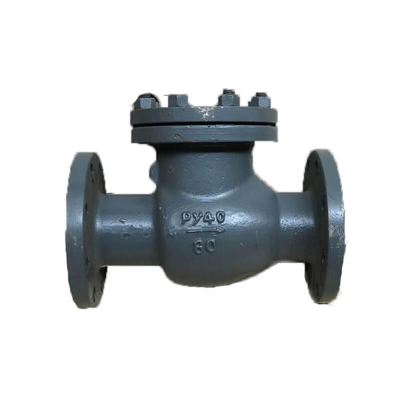 Клапан обратный 19с53нж