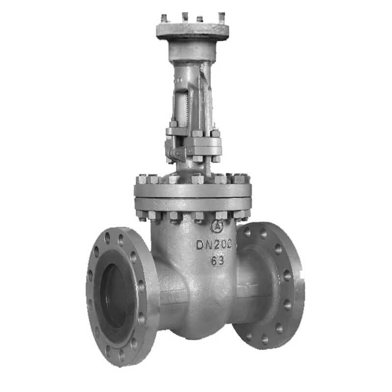 Задвижка 30с976нж