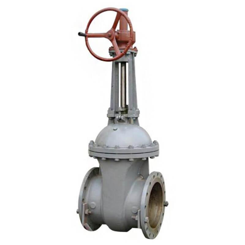 Задвижка 30лс564нж