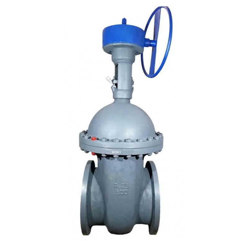 Задвижка 30лс541нж