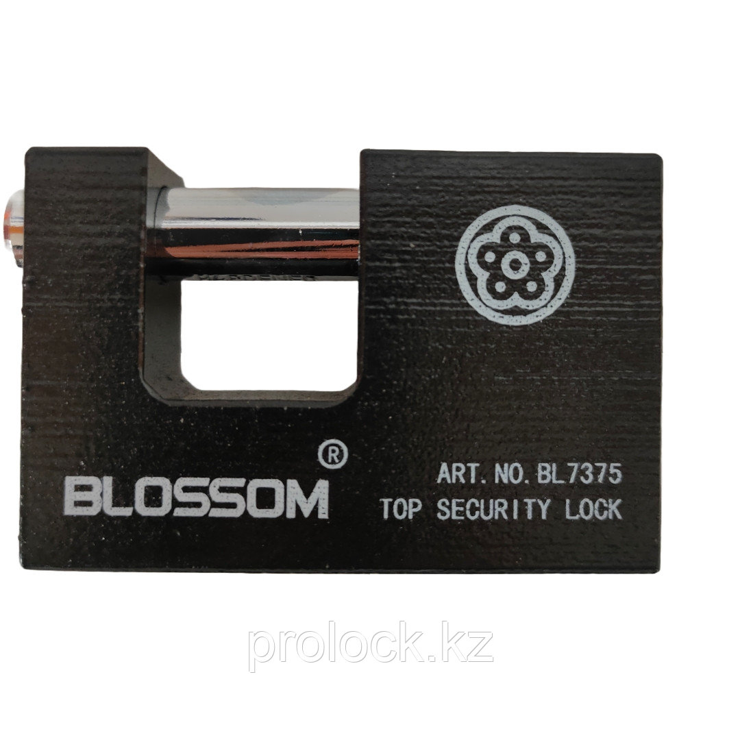 Замок навесной  BLOSSOM  75×52×20мм (длина×высота×толщина) всепогодный., фото 1