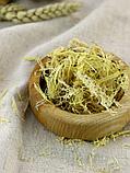 Астрагал перепончатый корень 25 г при сахарном диабете и болезнях кровеносной системы, фото 3