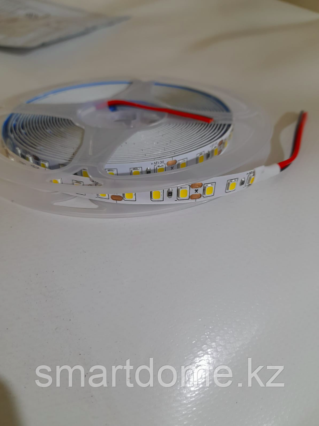 Светодиодная лента 2835 12 вт 240 led Standard - фото 2 - id-p102804334