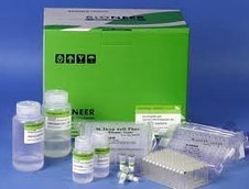 Реагенты для ПЦР оборудования BIONEER