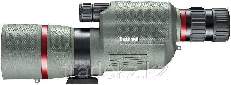 Зрительная труба BUSHNELL NITRO GRAY BaK-4 PORRO PRISM 15-45X65 (футляр) - фото 1 - id-p102832708