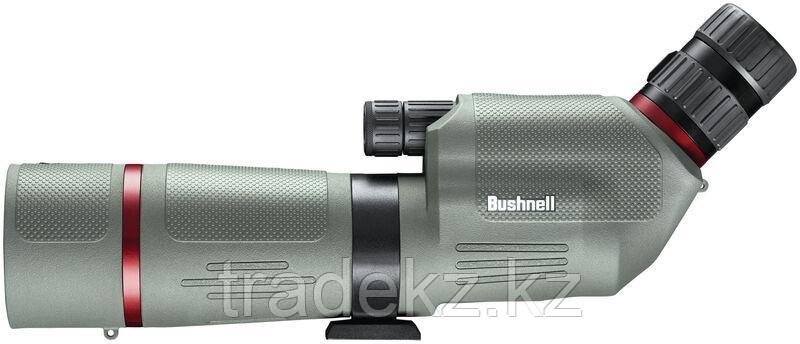 Зрительная труба BUSHNELL NITRO W/45° GRAY BaK-4 PORRO PRISM 20-60X65 (футляр) - фото 1 - id-p102832717